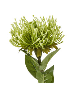 Hill Interiors Green Protea Lorea Stem 23843 - Authentic Hill Interiors furniture directly from FastDaddy UK. Exclusive collect 2
