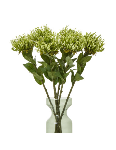 Affordable industrial style furniture Hill Interiors Green Protea Lorea Stem 23843 for modern home decor, free shipping options