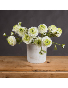 High-quality metal and wood construction of Hill Interiors SKU 18940 Green Ranunculus Spray, detailed view for UK customers. 2