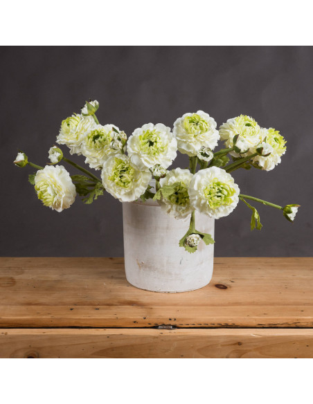 Hill Interiors Green Ranunculus Spray 18940 - Authentic Hill Interiors furniture directly from FastDaddy UK. Exclusive collecti