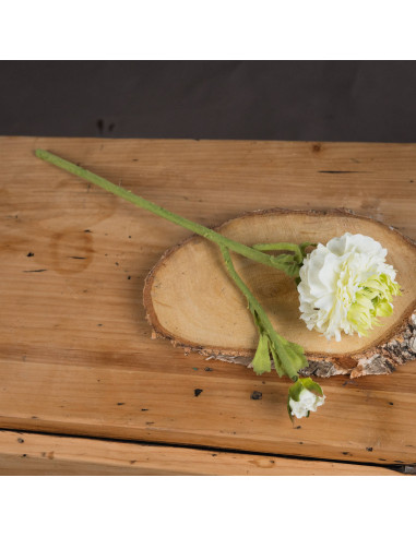 Buy Hill Interiors 18940 Green Ranunculus Spray online in UK with fast delivery from FastDaddy UK, your furniture expert.