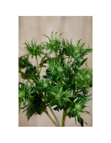 Full dimensions and specifications of Hill Interiors Green Sea Holly Spray 23819: Height 67.00cm, Width 0.00cm, perfect for you