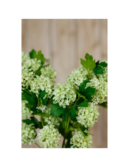 Full dimensions and specifications of Hill Interiors Green Snowball Viburnum Spray 23834: Height 77.00cm, Width 0.00cm, perfect