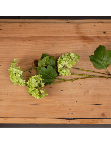 Buy Hill Interiors 19591 Green Viburnum Spray online in UK with fast delivery from FastDaddy UK, your furniture expert.