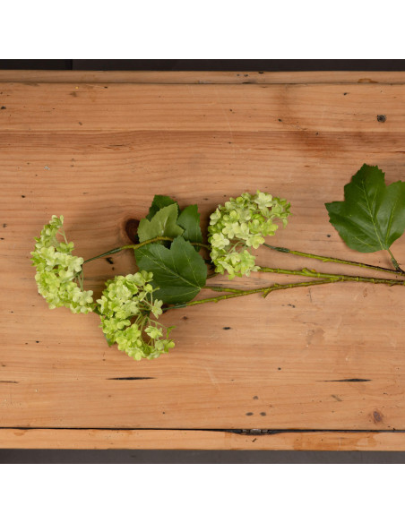 Buy Hill Interiors 19591 Green Viburnum Spray online in UK with fast delivery from FastDaddy UK, your furniture expert.