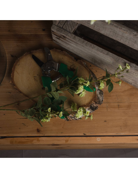 Buy Hill Interiors 19045 Green Wild Meadow Rose online in UK with fast delivery from FastDaddy UK, your furniture expert.