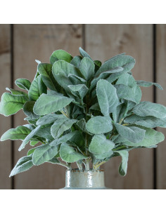 Full dimensions and specifications of Hill Interiors Lambs Ear Spray 19564: Height 35.00cm, Width 16.00cm, perfect for your liv 2