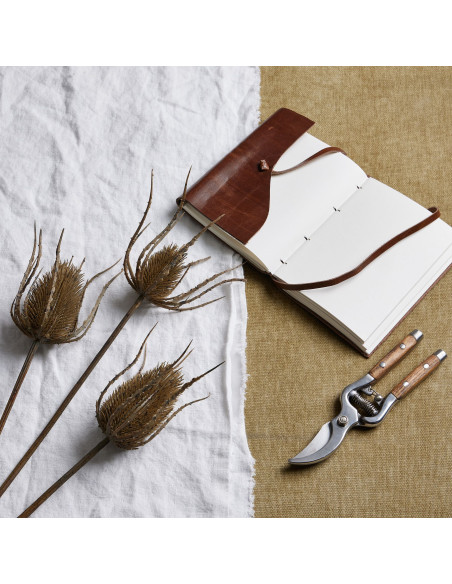 Hill Interiors Large Brown Triple Teasle Stem 22734 - Authentic Hill Interiors furniture directly from FastDaddy UK. Exclusive