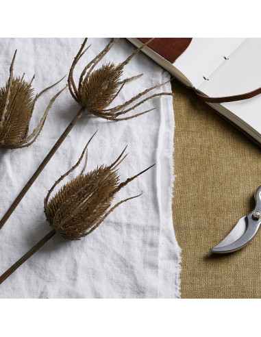 Buy Hill Interiors 22734 Large Brown Triple Teasle Stem online in UK with fast delivery from FastDaddy UK, your furniture exper