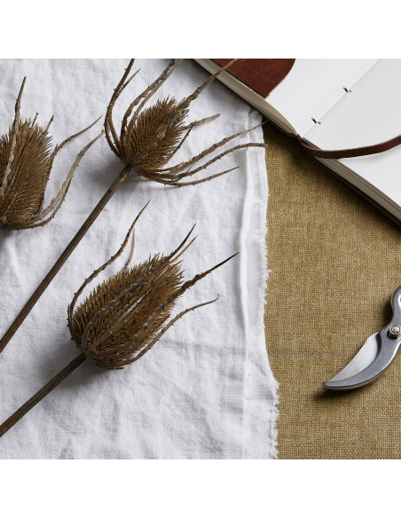 Buy Hill Interiors 22734 Large Brown Triple Teasle Stem online in UK with fast delivery from FastDaddy UK, your furniture exper