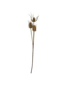 Affordable industrial style furniture Hill Interiors Large Brown Triple Teasle Stem 22734 for modern home decor, free shipping