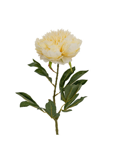 Hill Interiors Large Buttermilk Double Peony Stem 24550 - Authentic Hill Interiors furniture directly from FastDaddy UK. Exclus