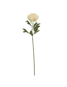 Hill Interiors Large Buttermilk Double Peony Stem 24550 - Authentic Hill Interiors furniture directly from FastDaddy UK. Exclus 2