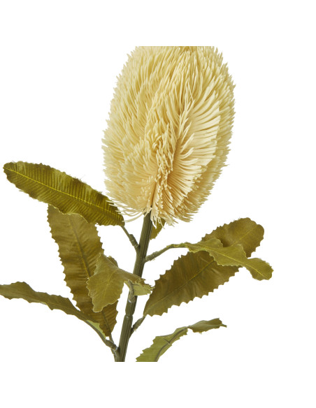 Buy Hill Interiors 23827 Large Cream Banksia Serrata Stem online in UK with fast delivery from FastDaddy UK, your furniture exp