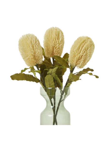 Affordable industrial style furniture Hill Interiors Large Cream Banksia Serrata Stem 23827 for modern home decor, free shippin