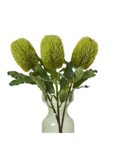 Affordable industrial style furniture Hill Interiors Large Green Banksia Serrata Stem 23841 for modern home decor, free shippin
