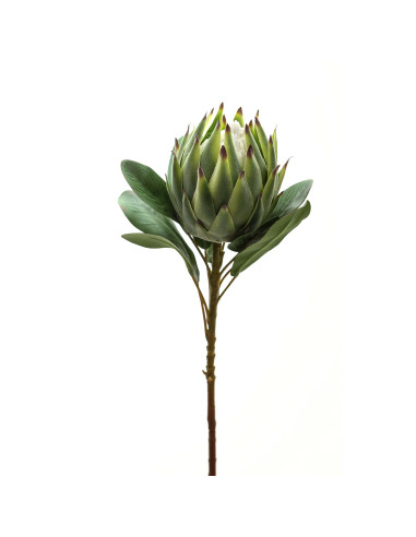 Buy Hill Interiors 22197 Large Green Protea online in UK with fast delivery from FastDaddy UK, your furniture expert.