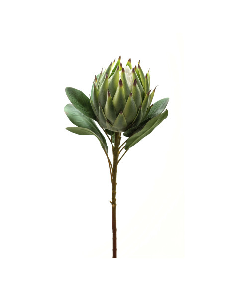 Buy Hill Interiors 22197 Large Green Protea online in UK with fast delivery from FastDaddy UK, your furniture expert.