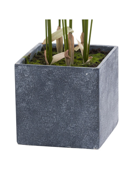 Affordable industrial style furniture Hill Interiors Large Paradise Potted Palm 21239 for modern home decor, free shipping opti