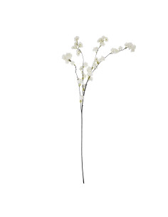 Buy Hill Interiors 22639 Large White Cherry Blossom Stem online in UK with fast delivery from FastDaddy UK, your furniture expe