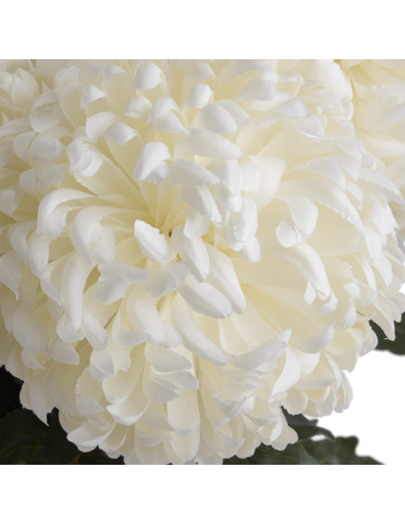 Full dimensions and specifications of Hill Interiors Large White Chrysanthemum 18964: Height 87.00cm, Width 15.00cm, perfect fo