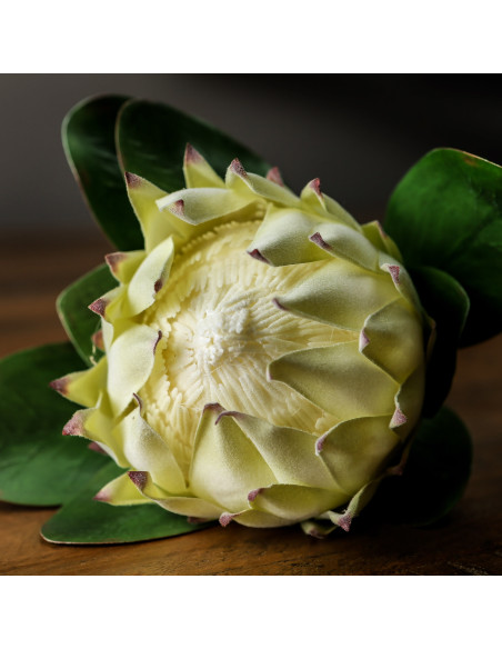 Buy Hill Interiors 22198 Large White Protea online in UK with fast delivery from FastDaddy UK, your furniture expert.