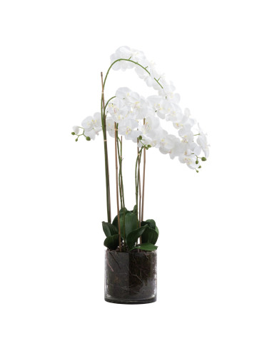 Hill Interiors Large White Tall Orchid In Glass Pot 21228 - Authentic Hill Interiors furniture directly from FastDaddy UK. Excl