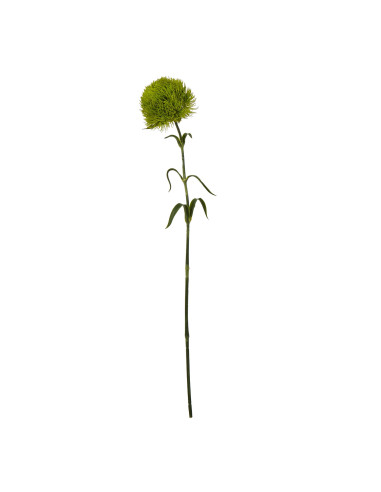 Hill Interiors Light Green Dianthus Stem 23840 - Authentic Hill Interiors furniture directly from FastDaddy UK. Exclusive colle