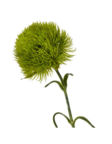 Buy Hill Interiors 23840 Light Green Dianthus Stem online in UK with fast delivery from FastDaddy UK, your furniture expert.