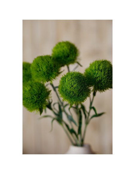 Full dimensions and specifications of Hill Interiors Light Green Dianthus Stem 23840: Height 53.00cm, Width 0.00cm, perfect for