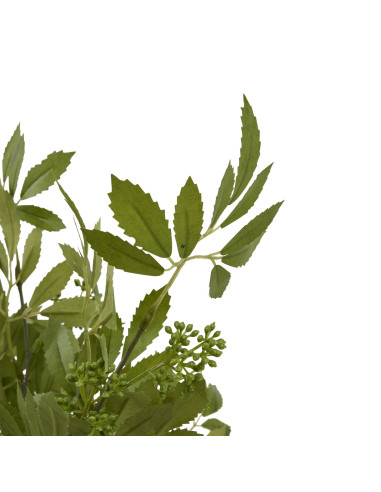 Full dimensions and specifications of Hill Interiors Long Fennel Stem 22611: Height 76.00cm, Width 26.00cm, perfect for your li