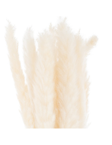 Hill Interiors Mini White Pampas Grass Bunch Of 15 21695 - Authentic Hill Interiors furniture directly from FastDaddy UK. Exclu