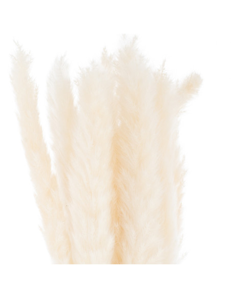 Hill Interiors Mini White Pampas Grass Bunch Of 15 21695 - Authentic Hill Interiors furniture directly from FastDaddy UK. Exclu