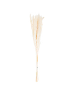 Buy Hill Interiors 21695 Mini White Pampas Grass Bunch Of 15 online in UK with fast delivery from FastDaddy UK, your furniture