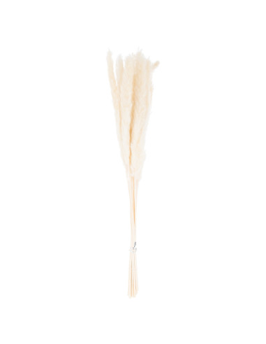 Buy Hill Interiors 21695 Mini White Pampas Grass Bunch Of 15 online in UK with fast delivery from FastDaddy UK, your furniture