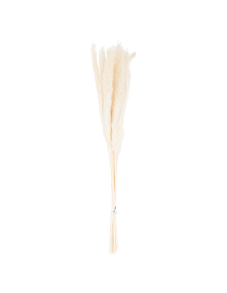 Buy Hill Interiors 21695 Mini White Pampas Grass Bunch Of 15 online in UK with fast delivery from FastDaddy UK, your furniture