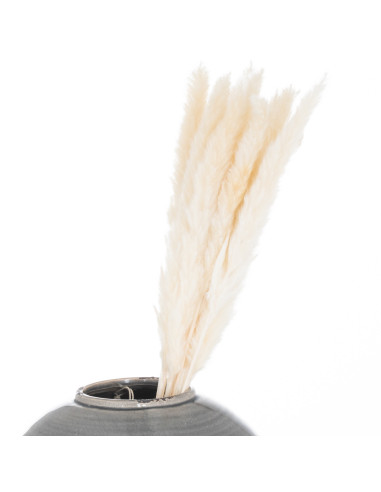 Affordable industrial style furniture Hill Interiors Mini White Pampas Grass Bunch Of 15 21695 for modern home decor, free ship