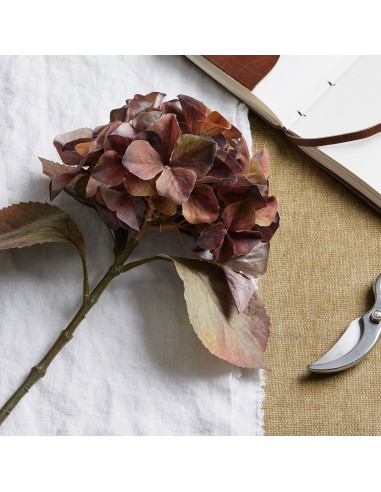 Buy Hill Interiors 22731 Mixed Autumn Browns Single Hydrangea Stem online in UK with fast delivery from FastDaddy UK, your furn
