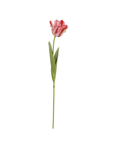 High-quality metal and wood construction of Hill Interiors SKU 24406 Multi Pink Parrot Tulip, detailed view for UK customers.