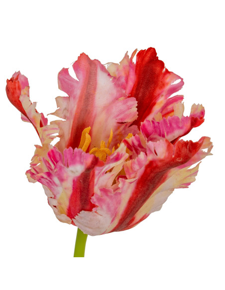 Full dimensions and specifications of Hill Interiors Multi Pink Parrot Tulip 24406: Height 69.00cm, Width 0.00cm, perfect for y