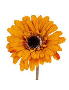 Hill Interiors Orange Gerbera Stem 24425 - Authentic Hill Interiors furniture directly from FastDaddy UK. Exclusive collection