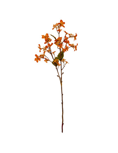 Buy Hill Interiors 24416 Orange Vernicia Fordii Spray online in UK with fast delivery from FastDaddy UK, your furniture expert.