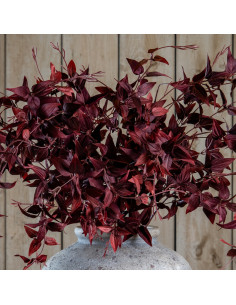 High-quality metal and wood construction of Hill Interiors SKU 22629 Ornamental Burgundy Leaf, detailed view for UK customers. 2