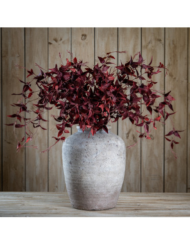 Buy Hill Interiors 22629 Ornamental Burgundy Leaf online in UK with fast delivery from FastDaddy UK, your furniture expert.