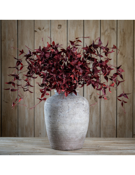 Buy Hill Interiors 22629 Ornamental Burgundy Leaf online in UK with fast delivery from FastDaddy UK, your furniture expert.