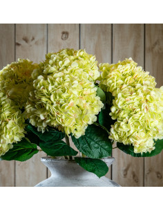Hill Interiors Oversized Green Hydrangea 22730 - Authentic Hill Interiors furniture directly from FastDaddy UK. Exclusive colle