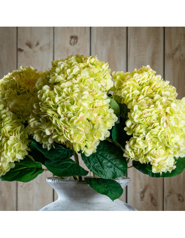 Hill Interiors Oversized Green Hydrangea 22730 - Authentic Hill Interiors furniture directly from FastDaddy UK. Exclusive colle