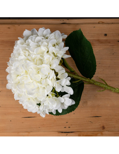Buy Hill Interiors 19059 Oversized White Hydrangea online in UK with fast delivery from FastDaddy UK, your furniture expert.