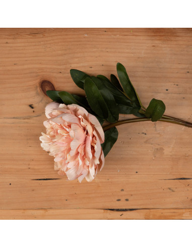 Buy Hill Interiors 19740 Peach Peony Rose online in UK with fast delivery from FastDaddy UK, your furniture expert.