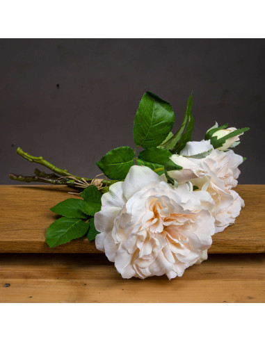 Hill Interiors Peachy Cream Short Stem Rose Bouquet 20126 - Authentic Hill Interiors furniture directly from FastDaddy UK. Excl